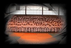 Plus de 240 pratiquants ont particip&eacute; &agrave; ce stage Inter-R&eacute;gions organis&eacute; par l'Amicale des Pratiquants de Budo Traditionnel et le CJJT de Meaux