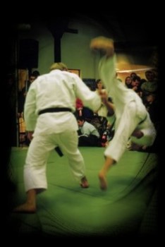 D&eacute;monstration de JuJitsu Traditionnel